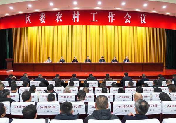 2月20日下午，區(qū)委召開農(nóng)村工作會議。徐浩翔 攝 (1).jpg